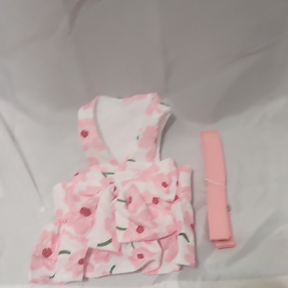 Floral Pink Dog Dress with Matching Belt - Picture 1 of 4